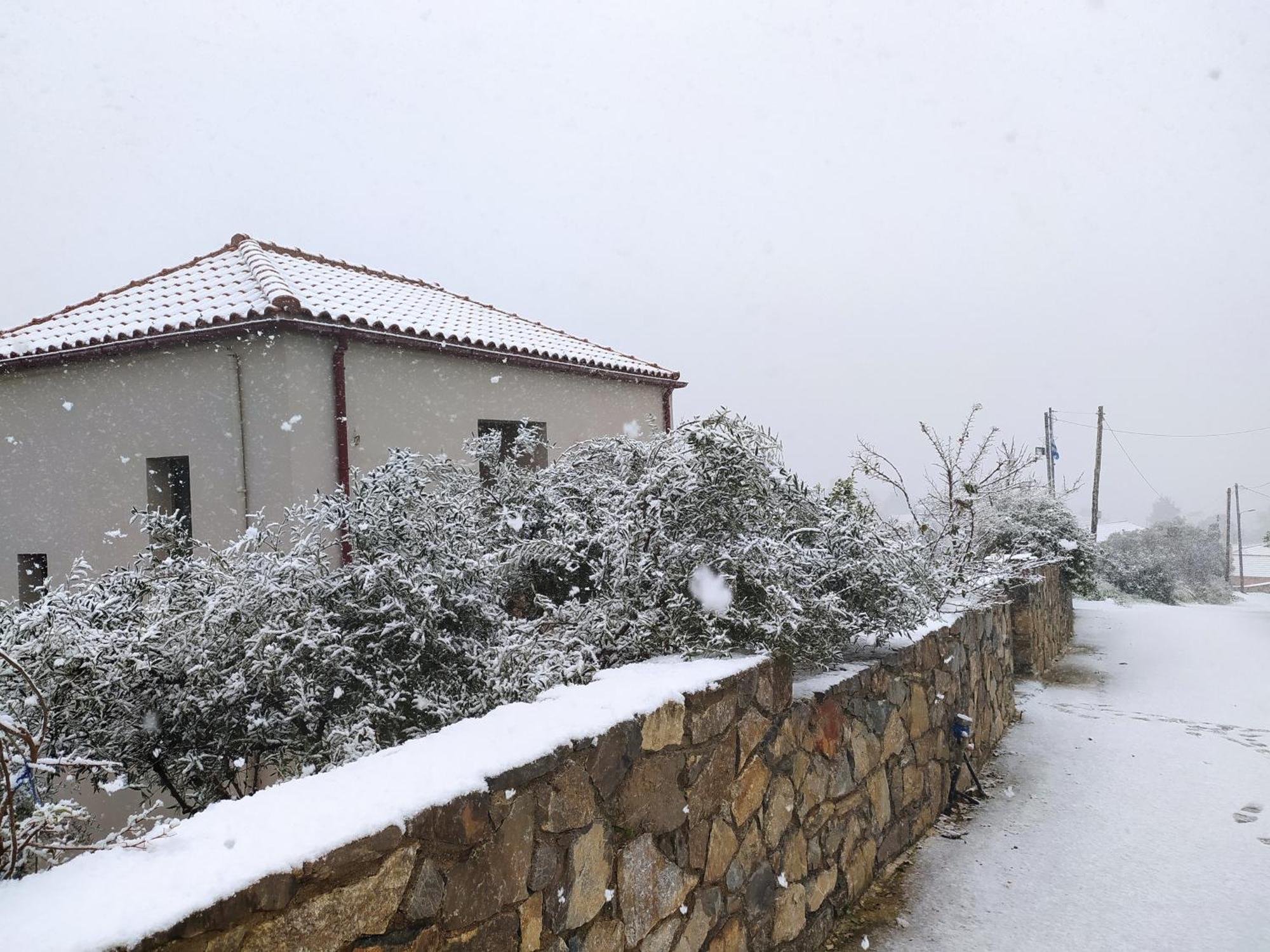 "Villa Kastania" Melidoni, Chania, Crete Экстерьер фото